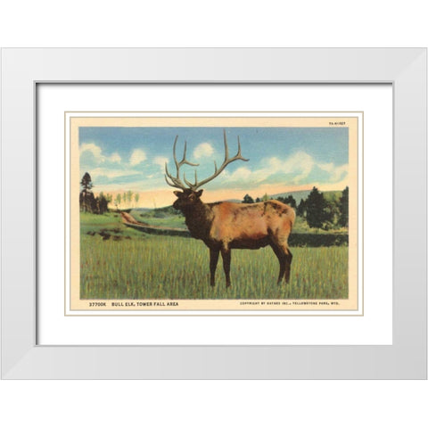 Elk I Crop White Modern Wood Framed Art Print with Double Matting by Wild Apple Portfolio