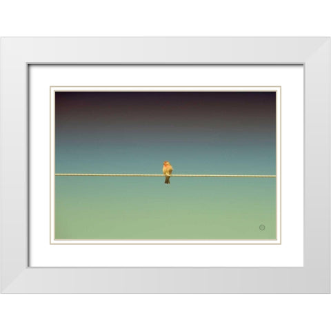 Waiting White Modern Wood Framed Art Print with Double Matting by Larson, Nathan