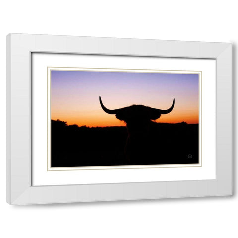 Bull Set White Modern Wood Framed Art Print with Double Matting by Larson, Nathan