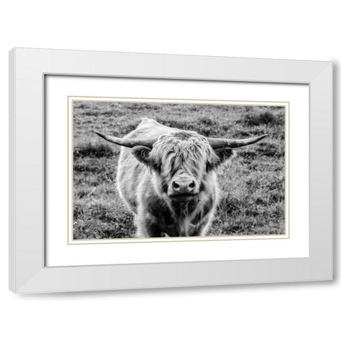 Highland Cow Staring Contest White Modern Wood Framed Art Print with Double Matting by Larson, Nathan