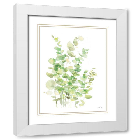 Eucalyptus III White Modern Wood Framed Art Print with Double Matting by Pete, Katrina