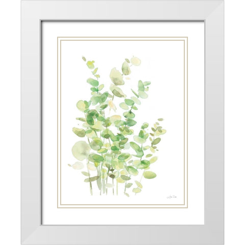 Eucalyptus III White Modern Wood Framed Art Print with Double Matting by Pete, Katrina