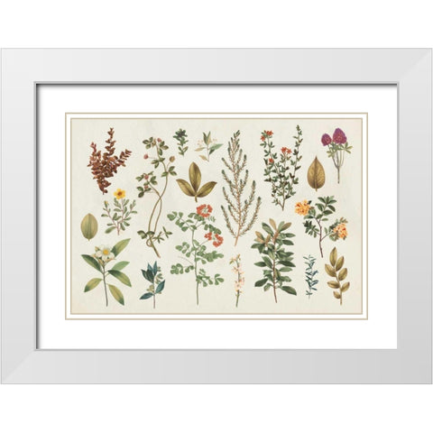 Victorian Garden III Autumn White Modern Wood Framed Art Print with Double Matting by Wild Apple Portfolio