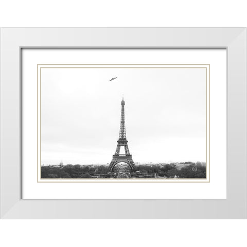 A Birds View of Paris Crop I White Modern Wood Framed Art Print with Double Matting by Larson, Nathan