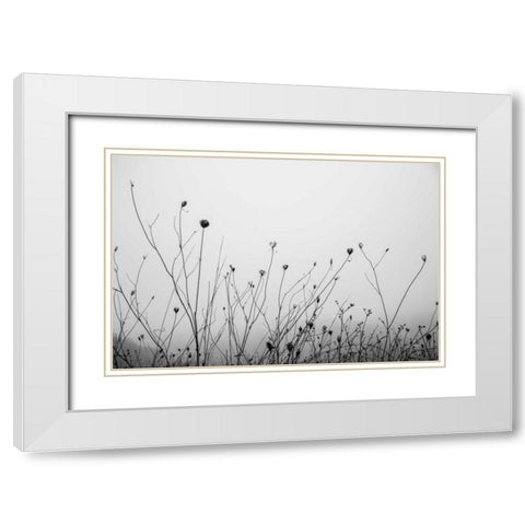 Autumn Grasses White Modern Wood Framed Art Print with Double Matting by Aledanda