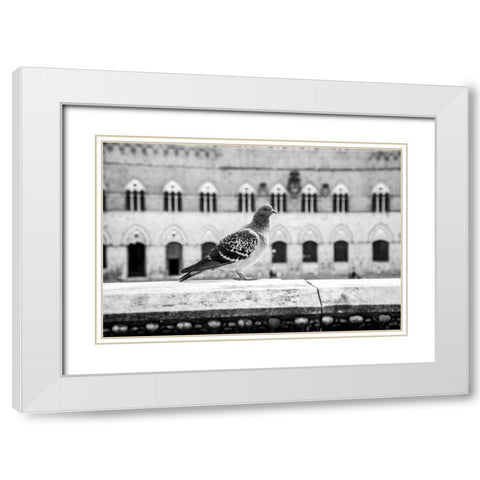 Il Piccione White Modern Wood Framed Art Print with Double Matting by Aledanda