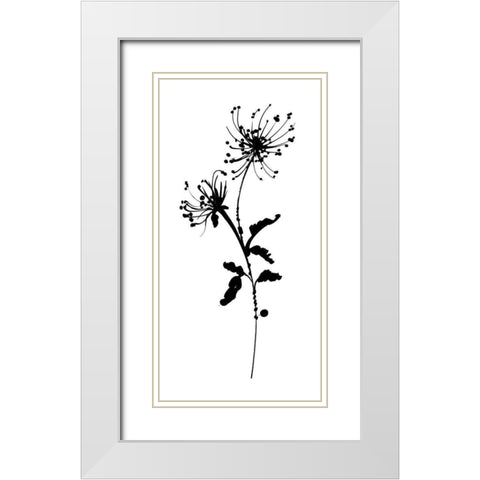 Silhouette Floral IV White Modern Wood Framed Art Print with Double Matting by Wild Apple Portfolio