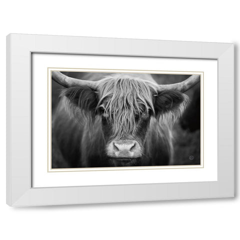 Cow Nose BW White Modern Wood Framed Art Print with Double Matting by Larson, Nathan