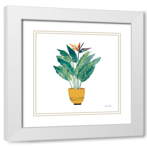 Potted Jewels III White Modern Wood Framed Art Print with Double Matting by Zaman, Farida