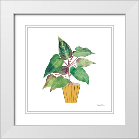 Potted Jewels IV White Modern Wood Framed Art Print with Double Matting by Zaman, Farida