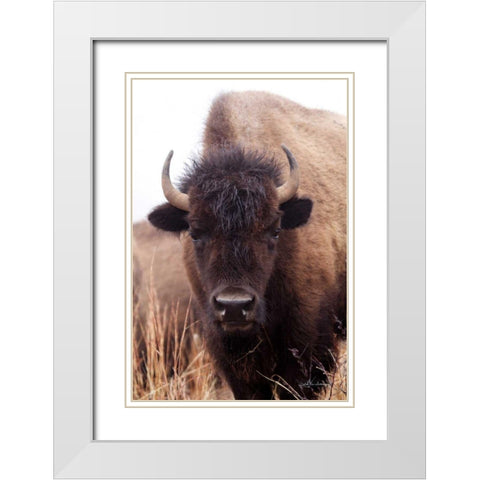 American Bison IV White Modern Wood Framed Art Print with Double Matting by Van Swearingen, Debra