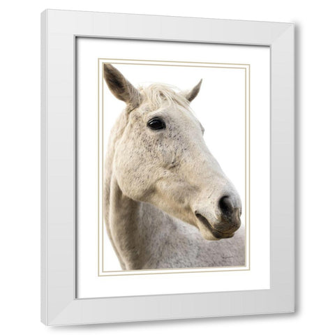 A Horse Named Lady II White Modern Wood Framed Art Print with Double Matting by Schlabach, Sue