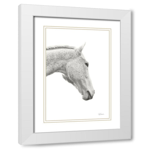 A Horse Named Lady I BW White Modern Wood Framed Art Print with Double Matting by Schlabach, Sue