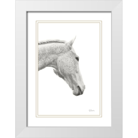 A Horse Named Lady I BW White Modern Wood Framed Art Print with Double Matting by Schlabach, Sue