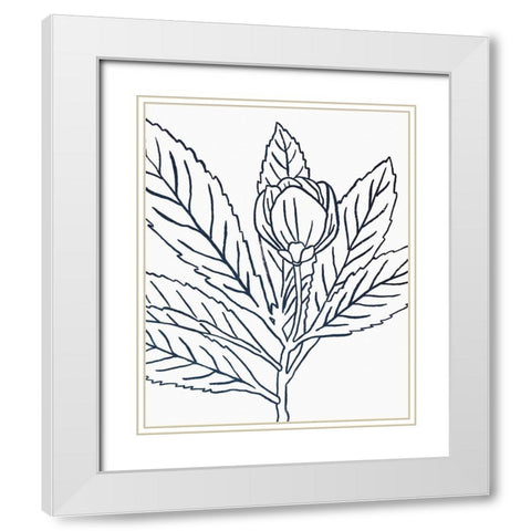 BW Blooms IV White Modern Wood Framed Art Print with Double Matting by Wild Apple Portfolio