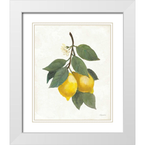 Lemon Branch II White Modern Wood Framed Art Print with Double Matting by Hristova, Albena