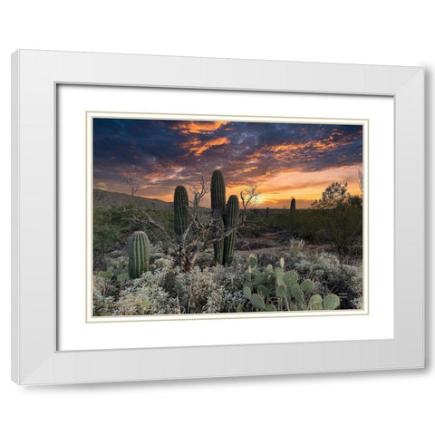 Sunset Moonrise White Modern Wood Framed Art Print with Double Matting by Larson, Nathan