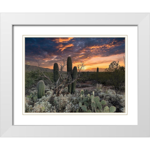 Sunset Moonrise White Modern Wood Framed Art Print with Double Matting by Larson, Nathan