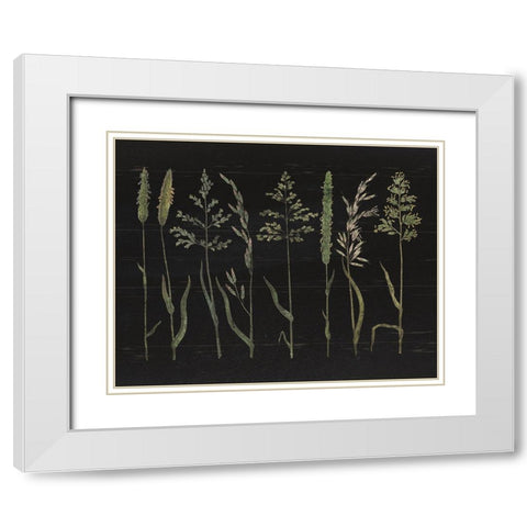 Herbal Botanical VII Black Wood No Words White Modern Wood Framed Art Print with Double Matting by Wild Apple Portfolio