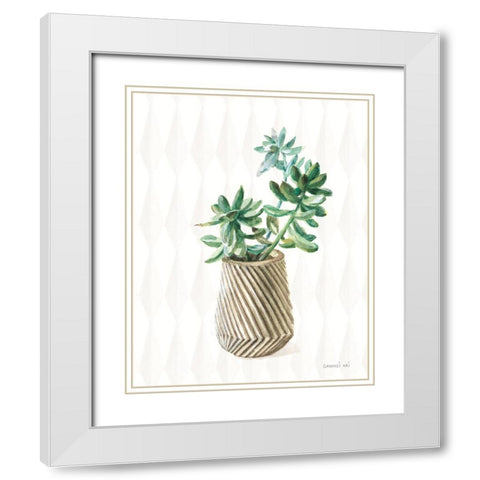 Desert Greenhouse X Subtle White Modern Wood Framed Art Print with Double Matting by Nai, Danhui