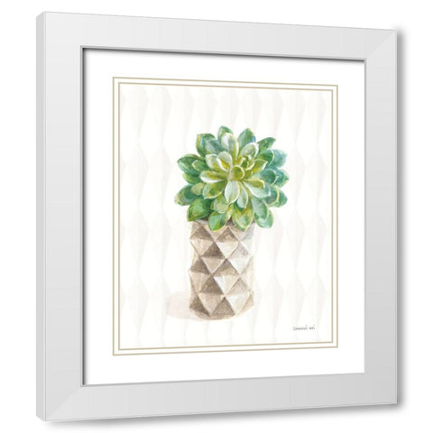 Desert Greenhouse XVIII White Modern Wood Framed Art Print with Double Matting by Nai, Danhui