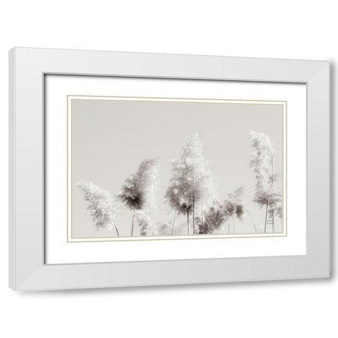 In the Wind I White Modern Wood Framed Art Print with Double Matting by Larson, Nathan