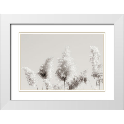 In the Wind I White Modern Wood Framed Art Print with Double Matting by Larson, Nathan