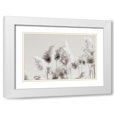 In the Wind III White Modern Wood Framed Art Print with Double Matting by Larson, Nathan
