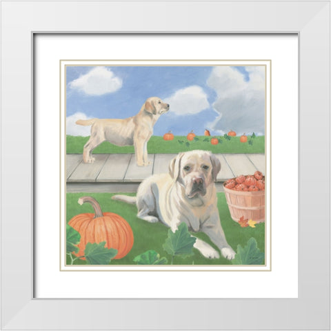Fall at the Farm II White Modern Wood Framed Art Print with Double Matting by Wiens, James