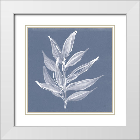 Leaf Study IV Blue White Modern Wood Framed Art Print with Double Matting by Paschke, Chris