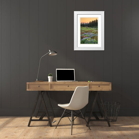 Paradise Wildflower Meadows III White Modern Wood Framed Art Print with Double Matting by Majchrowicz, Alan