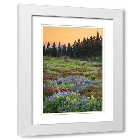 Paradise Wildflower Meadows III White Modern Wood Framed Art Print with Double Matting by Majchrowicz, Alan