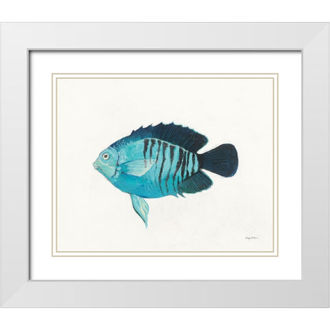 Ocean Life I White Modern Wood Framed Art Print with Double Matting by Tillmon, Avery