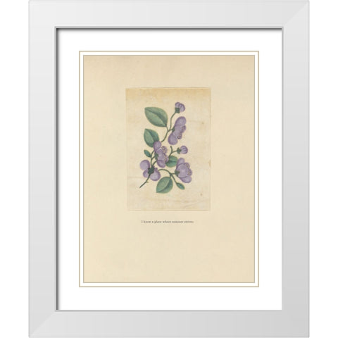 Textbook Floral Pastel White Modern Wood Framed Art Print with Double Matting by Wild Apple Portfolio