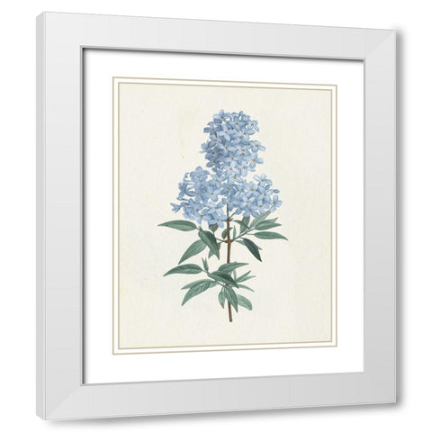 Victorian Garden Flowers III Blue White Modern Wood Framed Art Print with Double Matting by Wild Apple Portfolio