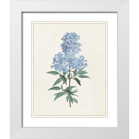 Victorian Garden Flowers III Blue White Modern Wood Framed Art Print with Double Matting by Wild Apple Portfolio