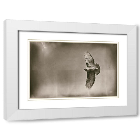 Catch and Fly White Modern Wood Framed Art Print with Double Matting by Larson, Nathan