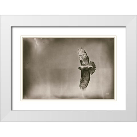 Catch and Fly White Modern Wood Framed Art Print with Double Matting by Larson, Nathan