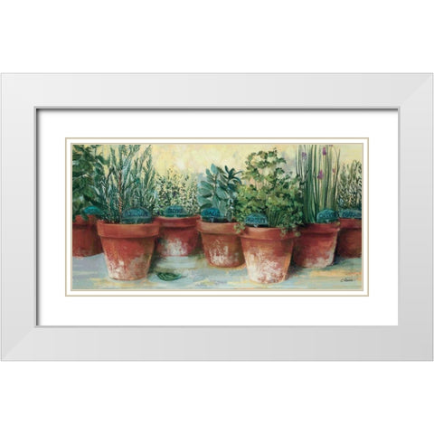Potted Herbs II White Modern Wood Framed Art Print with Double Matting by Rowan, Carol