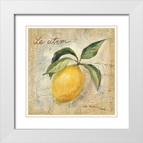 Le Citron White Modern Wood Framed Art Print with Double Matting by Vassileva, Silvia