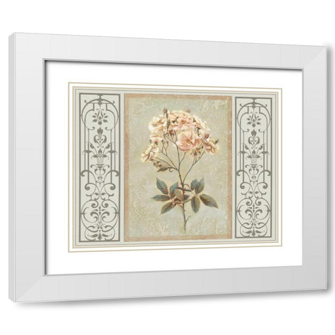 Heritage Roses I White Modern Wood Framed Art Print with Double Matting by Chilton, Sarah E.