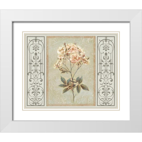 Heritage Roses I White Modern Wood Framed Art Print with Double Matting by Chilton, Sarah E.