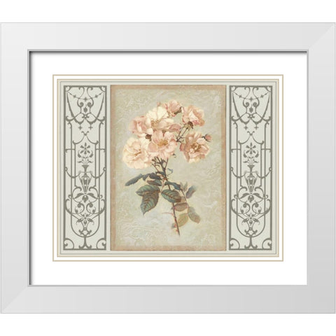 Heritage Roses II White Modern Wood Framed Art Print with Double Matting by Chilton, Sarah E.