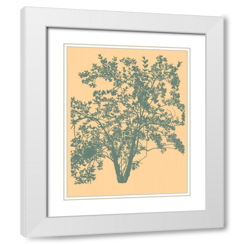 All American IV White Modern Wood Framed Art Print with Double Matting by Davies, Susan