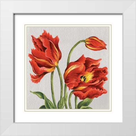 Tulips on Silk White Modern Wood Framed Art Print with Double Matting by Shelby, Judy