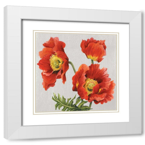 Poppies on Silk White Modern Wood Framed Art Print with Double Matting by Shelby, Judy