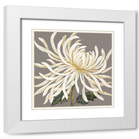 Glorious Whites I White Modern Wood Framed Art Print with Double Matting by Shelby, Judy