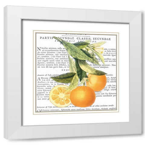 Citrus Edition II White Modern Wood Framed Art Print with Double Matting by Bannister, Cory