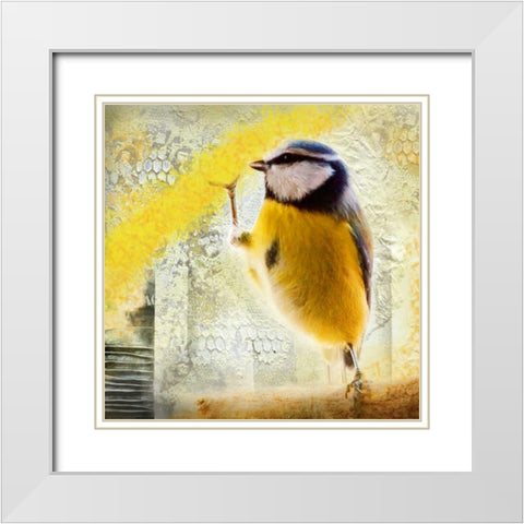 Birdy White Modern Wood Framed Art Print with Double Matting by de Haas, Mascha