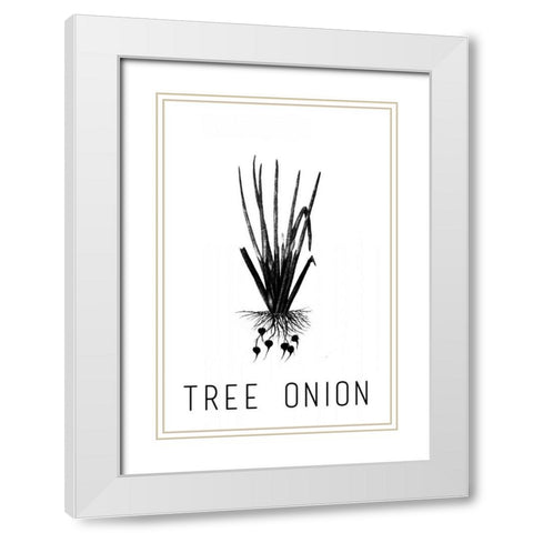 Tree Onion White Modern Wood Framed Art Print with Double Matting by Waltz, Anne